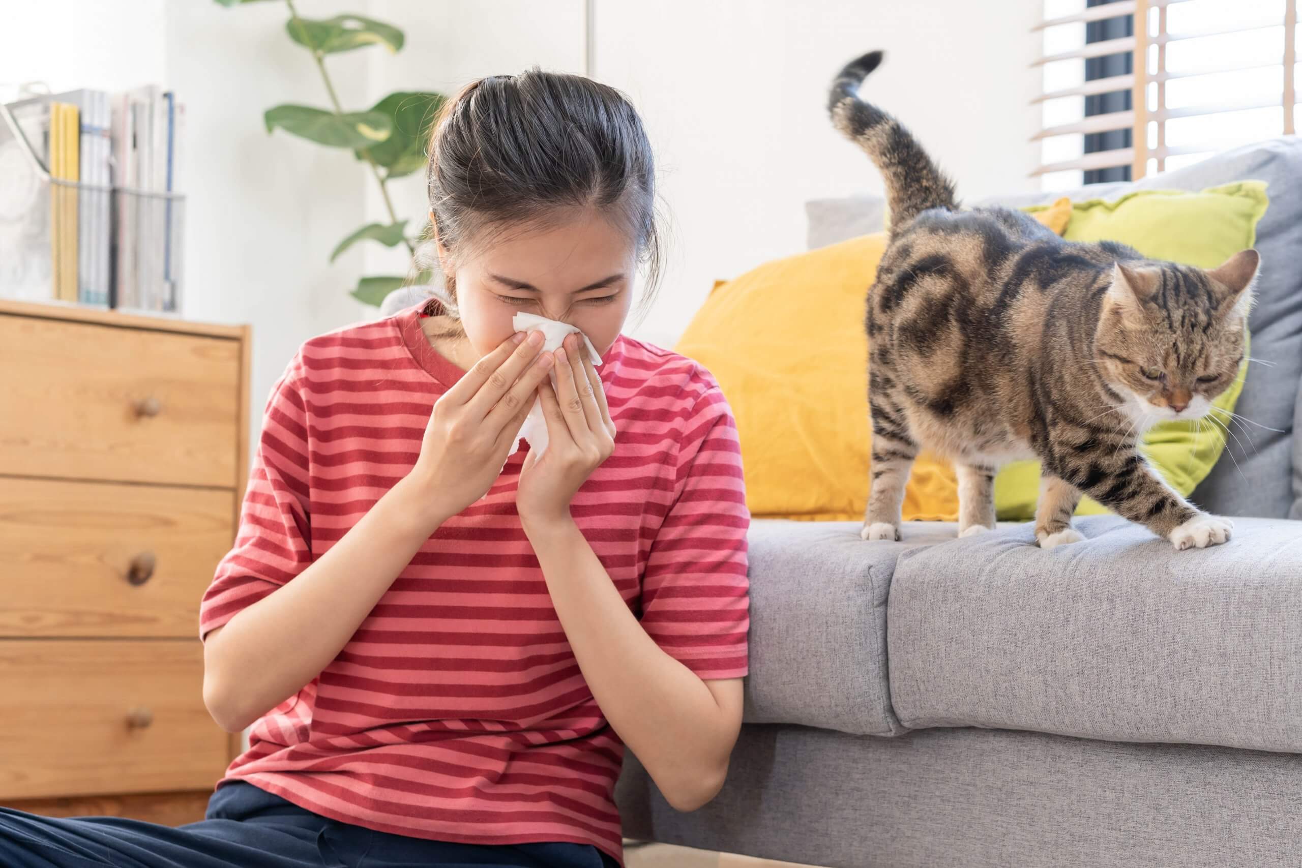 spring and summer allergies iaq control