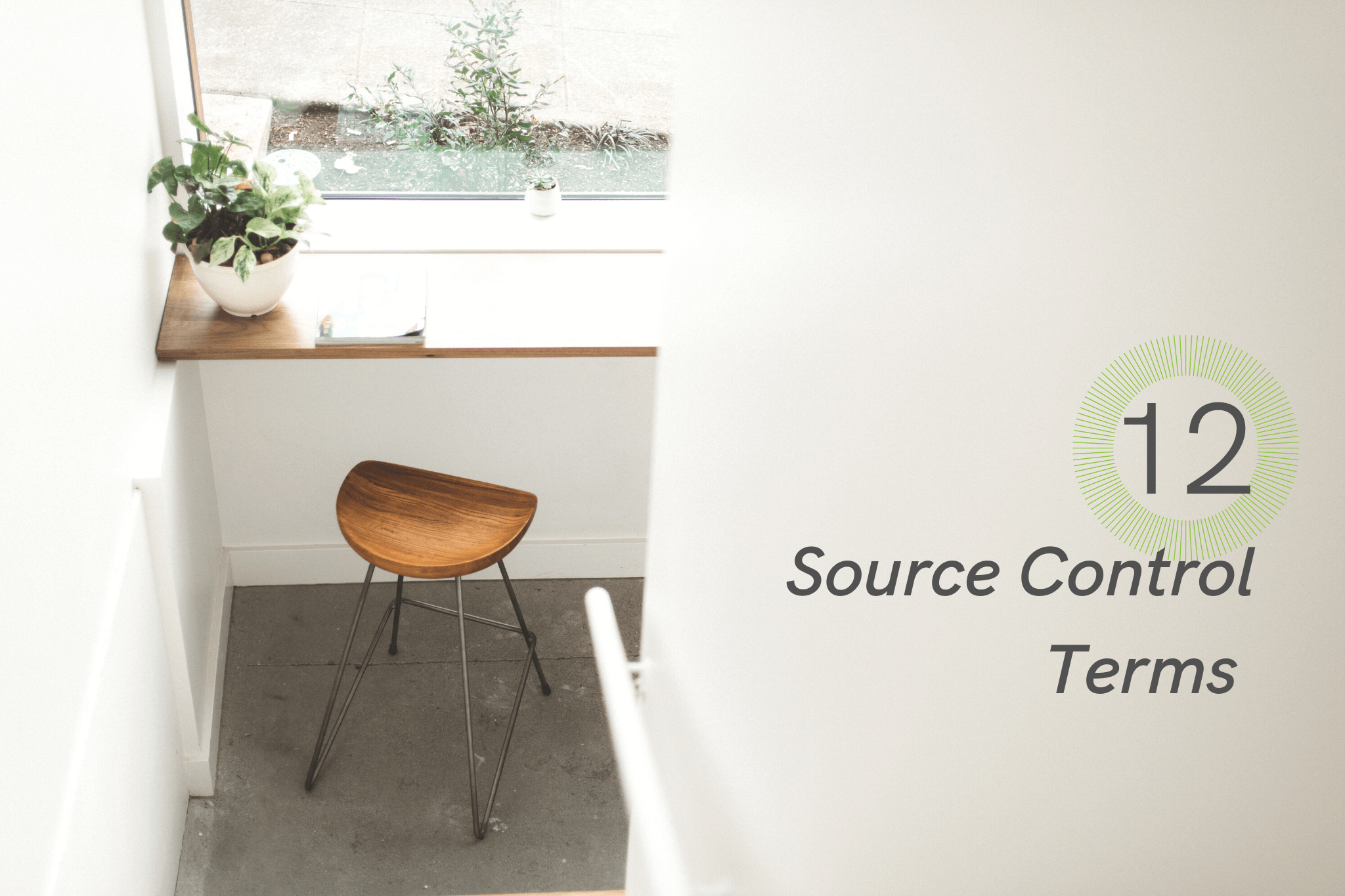 source control-related terms