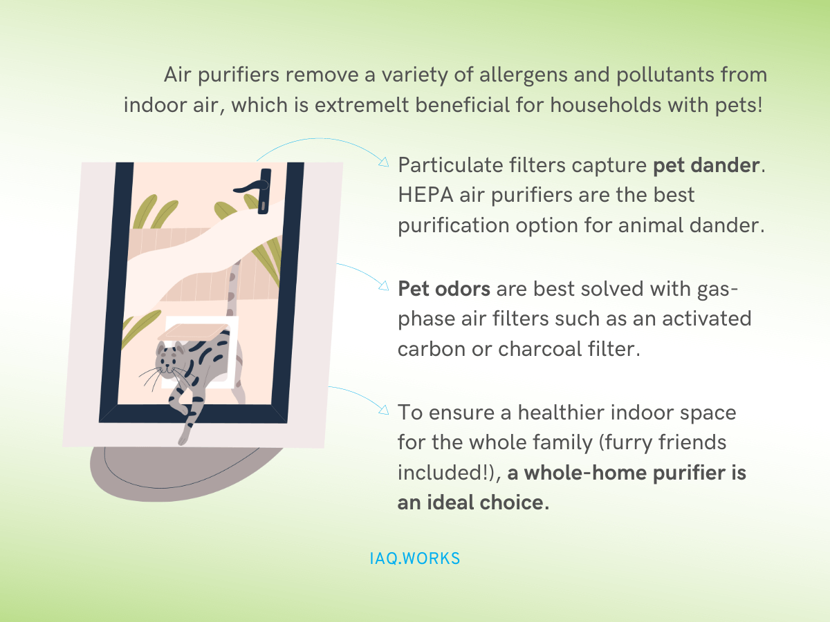 The best home air purifier solutions to minimize pet dander and pet odors indoors. 