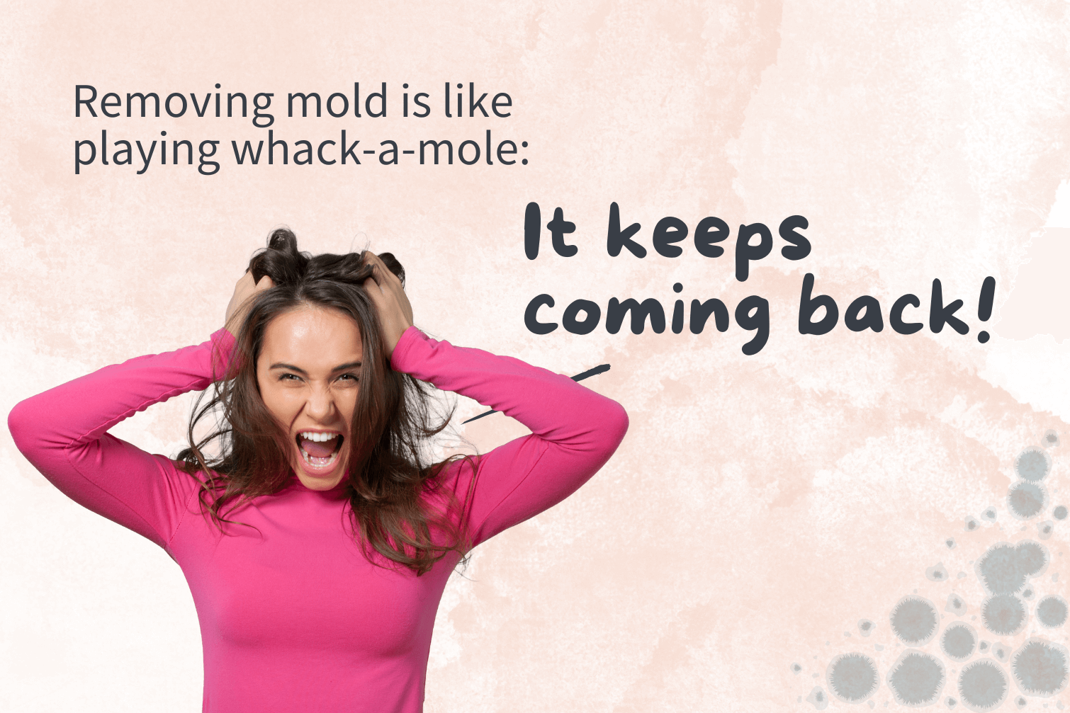 Removing mold is like playing whack-a-mole: it keeps coming back!