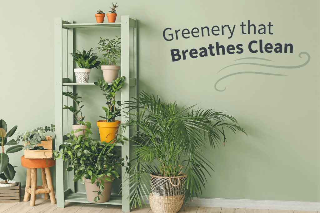 Greenery that Breathes Clean