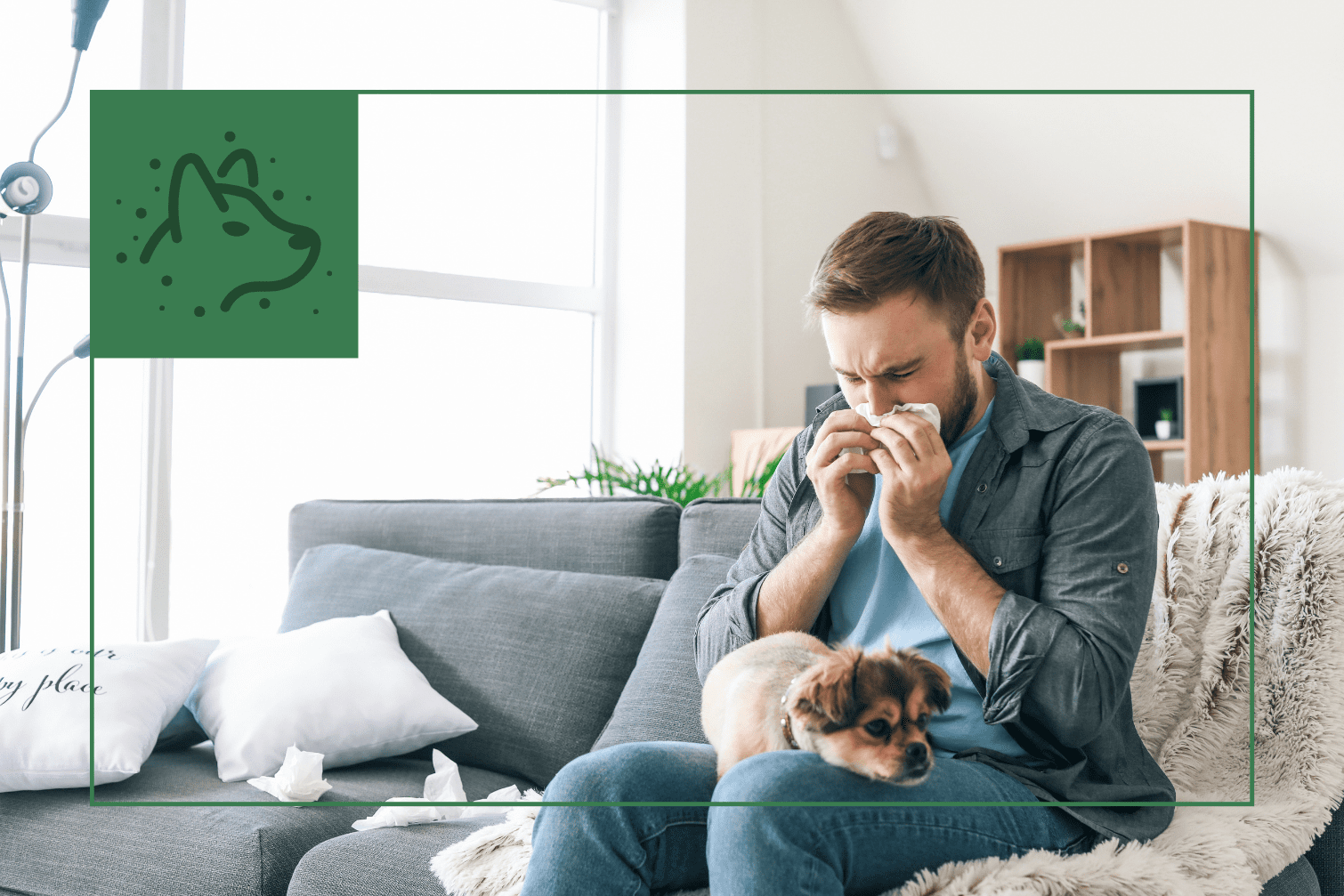 View of The Best Dog Breeds for Allergy Sufferers - IAQ.Works